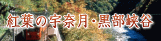 �F�ތ��E�������J���ӂ̗��فE�z�e��
