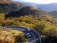 日光温泉