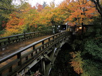 山中温泉 こおろぎ橋