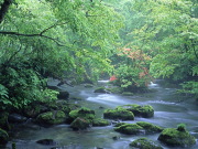 三乱の流れ（新緑）