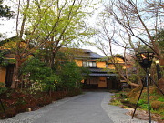 山みず木